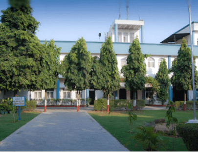 Head Office